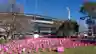 Three women dressed in pink at the Field Of Women event for BCNA
